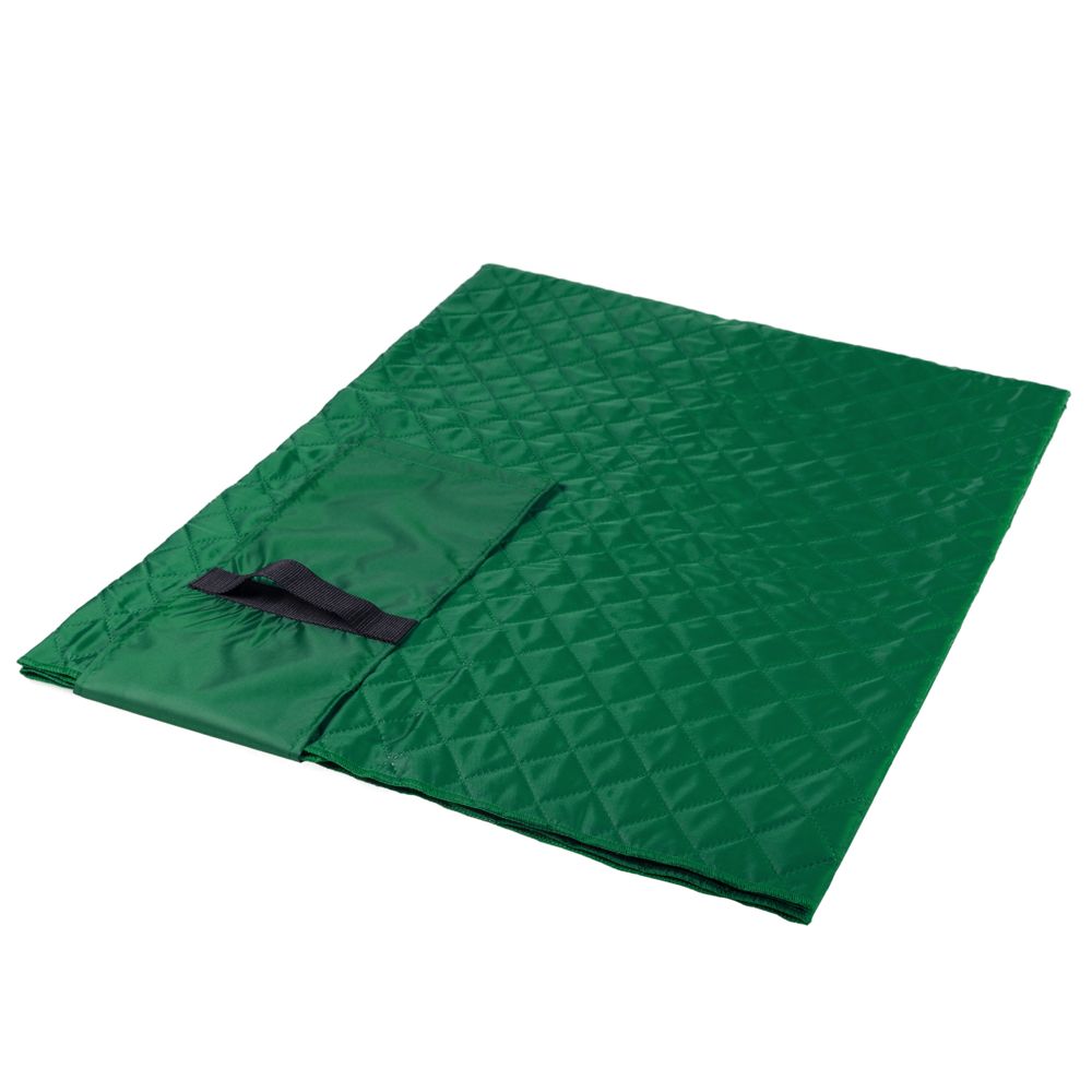 Плед для пикника Comfy, зеленый - фото от интернет-магазина подарков Хочу Дарю