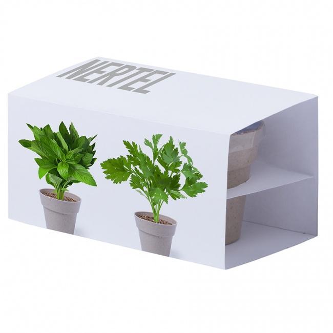 Набор NERTEL: два горшочка для выращивания петрушки и мяты с семенами, биоразлагаемый материал, грун - фото от интернет-магазина подарков Хочу Дарю