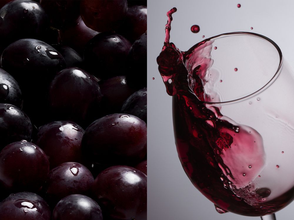 Бокал для вина «Энотека» - фото от интернет-магазина подарков Хочу Дарю