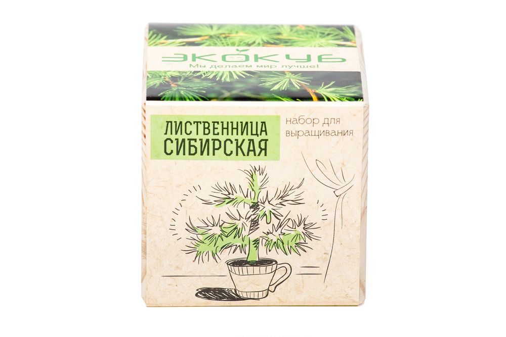 Набор для выращивания «Экокуб», лиственница сибирская - фото от интернет-магазина подарков Хочу Дарю