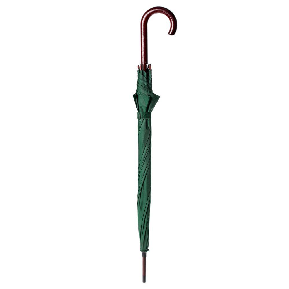 Зонт-трость Standard, зеленый - фото от интернет-магазина подарков Хочу Дарю