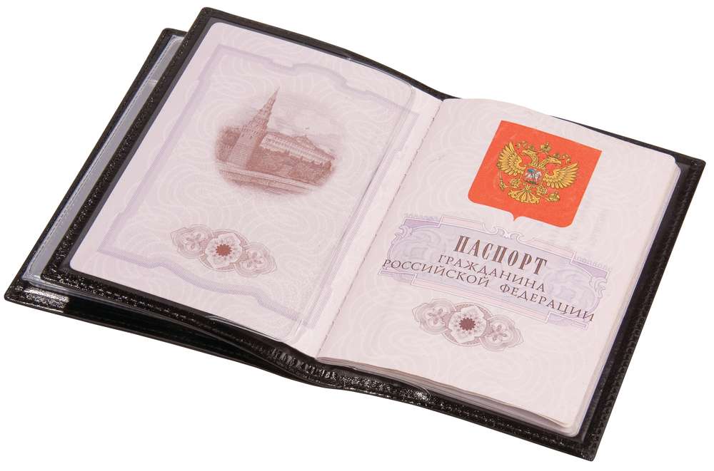 Обложка для автодокументов и паспорта Omnia Mea - фото от интернет-магазина подарков Хочу Дарю