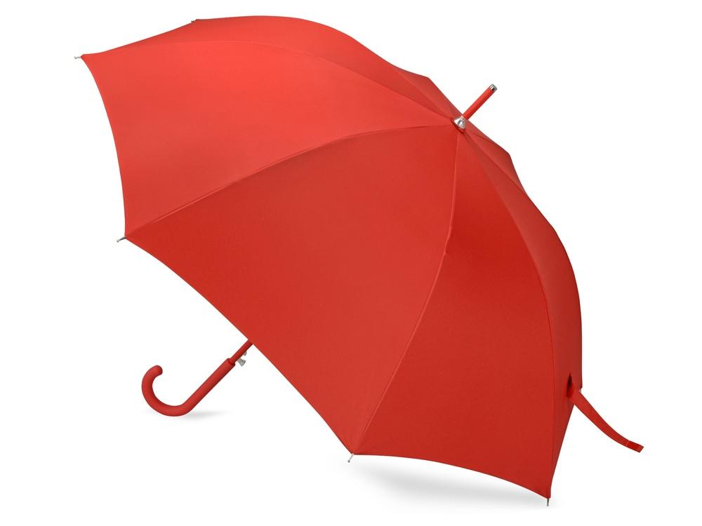 Зонт-трость Silver Color - фото от интернет-магазина подарков Хочу Дарю