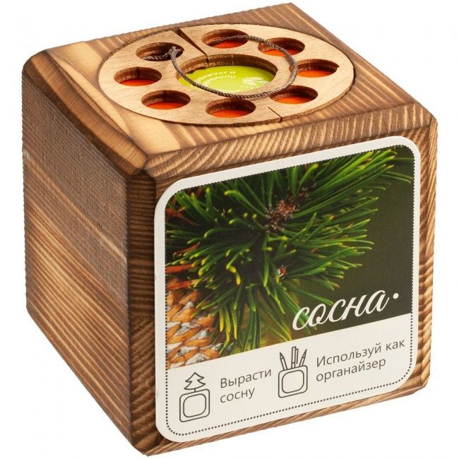 Набор для выращивания с органайзером «Экокуб Burn», сосна - фото от интернет-магазина подарков Хочу Дарю
