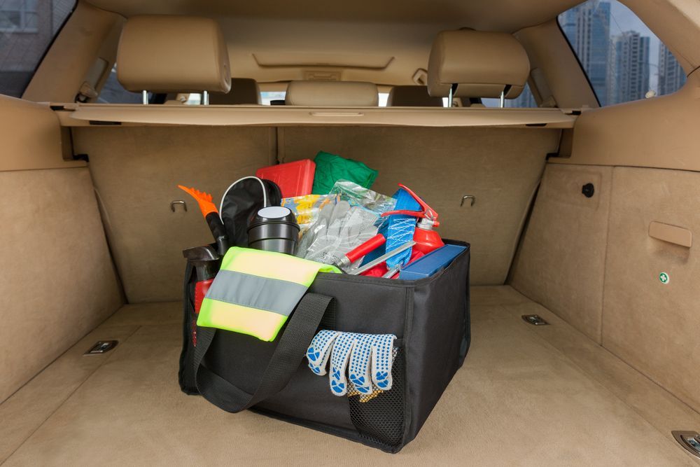 Органайзер в багажник автомобиля Unit Carry, черный - фото от интернет-магазина подарков Хочу Дарю