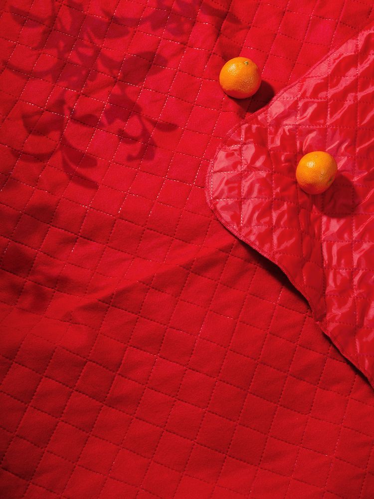 Плед для пикника Soft & Dry, темно-красный - фото от интернет-магазина подарков Хочу Дарю